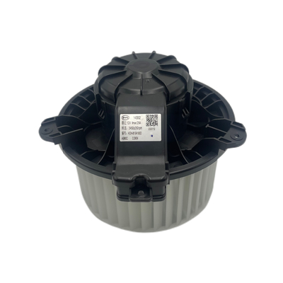BYD Dolphin 12V κλιματιστικό αυτοκινήτου Αντικατάσταση κινητήρα